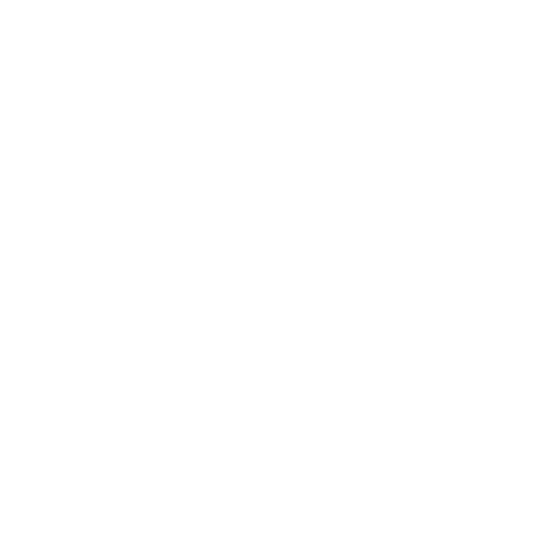 Multiple Payment Options